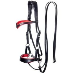 F.R.A. Bitloos Hoofdstel Aruba Side Pull Softleder Teugels Zwart -Waldhausen || Kentucky Horsewear || Norton Verkoop fra aruba red dsc02662.1f3f71 1