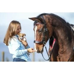F.R.A. Bitloos Hoofdstel Aruba Side Pull Softleder Teugels Zwart -Waldhausen || Kentucky Horsewear || Norton Verkoop fra aruba sfeer 2.a52028 1