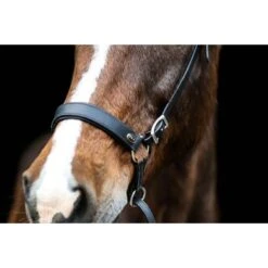 F.R.A. Bitloos Hoofdstel Janosch Zwart -Waldhausen || Kentucky Horsewear || Norton Verkoop fra janosch black 3.182338