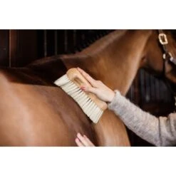 Grooming Deluxe By Kentucky Body Borstel Middel Zacht