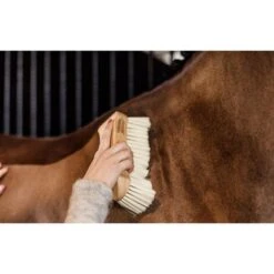 Grooming Deluxe By Kentucky Body Borstel Middel Zacht -Waldhausen || Kentucky Horsewear || Norton Verkoop groomingdeluxe 82116 05 6 resultaat.bd407b