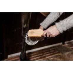 Grooming Deluxe By Kentucky Hoefborstel -Waldhausen || Kentucky Horsewear || Norton Verkoop groomingdeluxe 82121 05 3 resultaat.92878c