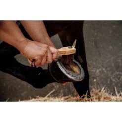 Grooming Deluxe By Kentucky Hoevenkrabber -Waldhausen || Kentucky Horsewear || Norton Verkoop groomingdeluxehoevenkrabber gd hk7.313edd