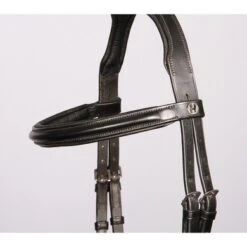 Harry Horse Hoofdstel Bitloos Sidepull Zwart -Waldhausen || Kentucky Horsewear || Norton Verkoop ha 28000026 3.96c9e6