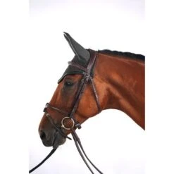 Harcour Oornetje Filou Khaki Full -Waldhausen || Kentucky Horsewear || Norton Verkoop harcour filou kaki site4.645715