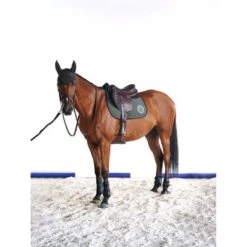 Harcour Oornetje Filou Khaki Full -Waldhausen || Kentucky Horsewear || Norton Verkoop harcour filou kaki site5.7be729