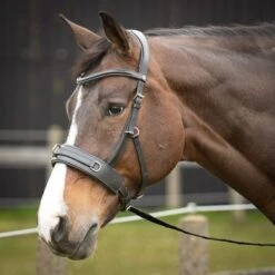 Harry's Horse Kaptoom Hoofdstel Comfort Leder Zwart -Waldhausen || Kentucky Horsewear || Norton Verkoop harrys horse 21 04 28008126 zwart 5.e2de17