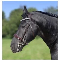 HB Showtime Hoofdstel Dream For Ever Bruin