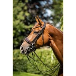 HB Showtime Stang- En Trenshoofdstel Special For You Brown/Golden Glitter -Waldhausen || Kentucky Horsewear || Norton Verkoop hb 395 bruin.8ada54