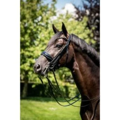 HB Showtime Stang- En Trenshoofdstel Special For You Zwart/Grey Glitter -Waldhausen || Kentucky Horsewear || Norton Verkoop hb 395 grey.a65a09