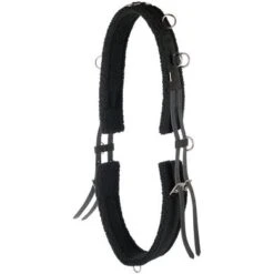 Harry's Horse Longeersingel Bont