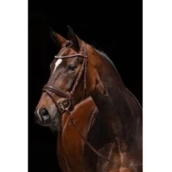 HKM Hoofdstel Flora Zwart -Waldhausen || Kentucky Horsewear || Norton Verkoop hkm 11474 2.17284d 1