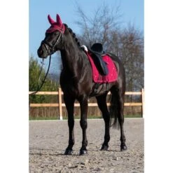 HKM Oornetje Sweet Valentine Roze/Zilver -Waldhausen || Kentucky Horsewear || Norton Verkoop hkm 1337013369 3.d061e4