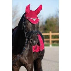 HKM Oornetje Sweet Valentine Roze/Zilver -Waldhausen || Kentucky Horsewear || Norton Verkoop hkm 13370 2.b356e1