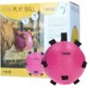Maximus Bal Fun Play Roze