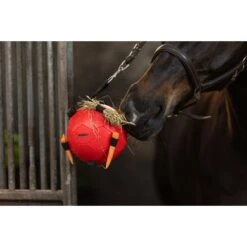 Maximus Bal Fun Play Roze -Waldhausen || Kentucky Horsewear || Norton Verkoop hof 277364.fa82a8 2