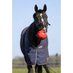 Maximus Bal Fun Play Oranje -Waldhausen || Kentucky Horsewear || Norton Verkoop hof 277367.d94d90 3