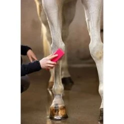 Paardenpraat Grooming Brush Roze -Waldhausen || Kentucky Horsewear || Norton Verkoop hof bors0004g6 paardenpraat grooming brush medium roze.402a22