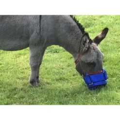 Agradi Graasmasker Zephyr Short Cob -Waldhausen || Kentucky Horsewear || Norton Verkoop hofman mini donkey zephyr 768x576.e9b64b
