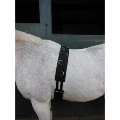 Horka Longeer Singel Zwart -Waldhausen || Kentucky Horsewear || Norton Verkoop horka 180284 0000 0002 1.31712b