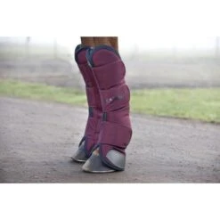 Rambo Transportbeschermers Burgundy/Teal/Navy -Waldhausen || Kentucky Horsewear || Norton Verkoop horseware ddat4a qqgb 6720x4480.0e0420