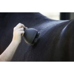 Imperial Riding Grooming & Relexation IRHVolta Massageborstel One Size -Waldhausen || Kentucky Horsewear || Norton Verkoop imperial riding massageborstel dsc08070 copy 1024x683.b4c491
