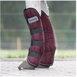 Kavalkade Transportbeschermers Bordeaux -Waldhausen || Kentucky Horsewear || Norton Verkoop kav 30736 03.6b9f00