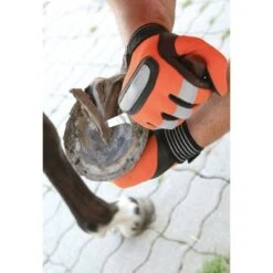 Kerbl Hoef- En Klauwmes Superprofi Rechts Smal -Waldhausen || Kentucky Horsewear || Norton Verkoop ke 168143.978041