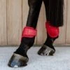 Kentucky Horsewear Kentucky Kogelbeschermer Young Horse Velvet Rood