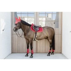 Kentucky Horsewear Kentucky Kogelbeschermer Young Horse Velvet Rood -Waldhausen || Kentucky Horsewear || Norton Verkoop kentucky 179a3312.838920
