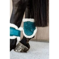 Kentucky Horsewear Kentucky Kogelbeschermer Young Horse Velvet Vegan Bont Emerald -Waldhausen || Kentucky Horsewear || Norton Verkoop kentucky 179a3423.faaf0b