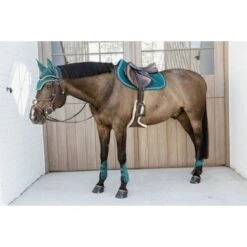Kentucky Horsewear Kentucky Kogelbeschermer Young Horse Velvet Emerald -Waldhausen || Kentucky Horsewear || Norton Verkoop kentucky 179a3522.bf07f2