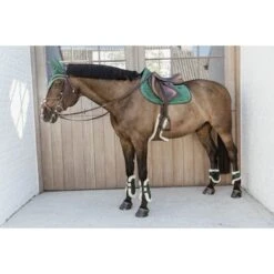 Kentucky Horsewear Kentucky Peesbeschermers Bamboo Elastic Velvet Vegan Bont Donker Groen -Waldhausen || Kentucky Horsewear || Norton Verkoop kentucky 179a3654.89b3b2