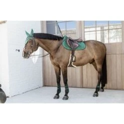 Kentucky Horsewear Kentucky Kogelbeschermer Young Horse Velvet Donker Groen -Waldhausen || Kentucky Horsewear || Norton Verkoop kentucky 179a3748.6ab14d