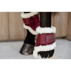 Kentucky Horsewear Kentucky Kogelbeschermer Young Horse Velvet Vegan Bont Bordeaux -Waldhausen || Kentucky Horsewear || Norton Verkoop kentucky 179a3978.96fa48