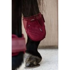 Kentucky Horsewear Kentucky Kogelbeschermer Young Horse Velvet Bordeaux -Waldhausen || Kentucky Horsewear || Norton Verkoop kentucky 179a4022.0a7c45