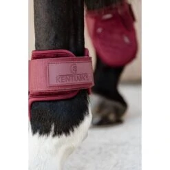Kentucky Horsewear Kentucky Kogelbeschermer Young Horse Velvet Bordeaux -Waldhausen || Kentucky Horsewear || Norton Verkoop kentucky 179a4028.9a16d1