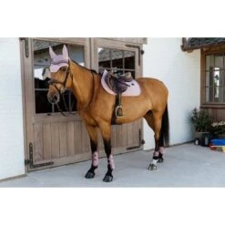 Kentucky Horsewear Kentucky Kogelbeschermer Young Horse Velvet Oud Roze -Waldhausen || Kentucky Horsewear || Norton Verkoop kentucky 179a4234.63f90f