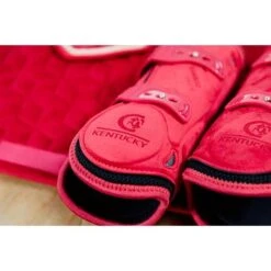 Kentucky Horsewear Kentucky Kogelbeschermer Young Horse Velvet Rood -Waldhausen || Kentucky Horsewear || Norton Verkoop kentucky 179a4602.02b884