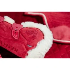 Kentucky Horsewear Kentucky Kogelbeschermer Young Horse Velvet Vegan Bont Rood -Waldhausen || Kentucky Horsewear || Norton Verkoop kentucky 179a4638.86d6ef