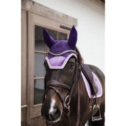 Kentucky Horsewear Kentucky Oornetje Wellington Velvet Contrast Royal Purple Full