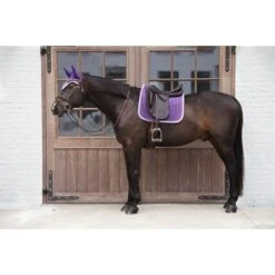 Kentucky Horsewear Kentucky Oornetje Wellington Velvet Contrast Royal Purple Full -Waldhausen || Kentucky Horsewear || Norton Verkoop kentucky 221013 23.8ca243