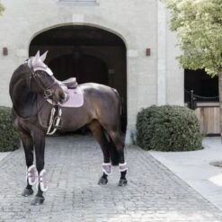 Kentucky Horsewear Kentucky Peesbeschermers Bamboo Elastic Vegan Sheepskin Old Rose -Waldhausen || Kentucky Horsewear || Norton Verkoop kentucky 485a7355 1 e8502ded370e565d04389cf2c54c4715 article photobook crop.07a8c6