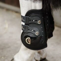 Kentucky Horsewear Kentucky Kogelbeschermer Moonboots Max Elastic Zwart Full -Waldhausen || Kentucky Horsewear || Norton Verkoop kentucky 485a9924 .bd7924