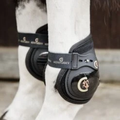 Kentucky Horsewear Kentucky Kogelbeschermer Moonboots Elastic Zwart Full -Waldhausen || Kentucky Horsewear || Norton Verkoop kentucky kogelbeschermer zwart 4.f3d2c4
