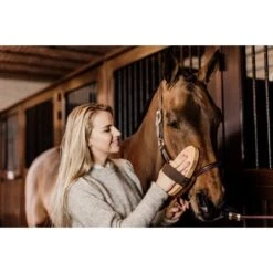 Grooming Deluxe By Kentucky Multifunctionele Borstel Zacht