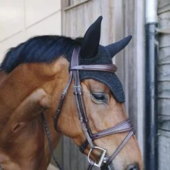 Kentucky Horsewear Kentucky Oornet Wellington Sparkling Soundless Black Full -Waldhausen || Kentucky Horsewear || Norton Verkoop kentucky oornet wellington sparkling soundless zwart 2.c8d604