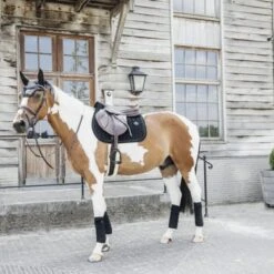 Kentucky Horsewear Kentucky Oornetje Wellington Velvet Pearls Zwart Full -Waldhausen || Kentucky Horsewear || Norton Verkoop kentucky oornetje wellington velvet pearls black 2.91764c