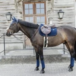 Kentucky Horsewear Kentucky Oornetje Wellington Velvet Pearls Navy Full -Waldhausen || Kentucky Horsewear || Norton Verkoop kentucky oornetje wellington velvet pearls navy 2.5b01a6