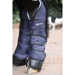 Kerbl Transportbeschermers Dexter 4st Blauw Full -Waldhausen || Kentucky Horsewear || Norton Verkoop kerbl 3245223.760719